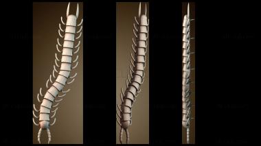 3D модель Сороконожка Хэллоуин (STL)