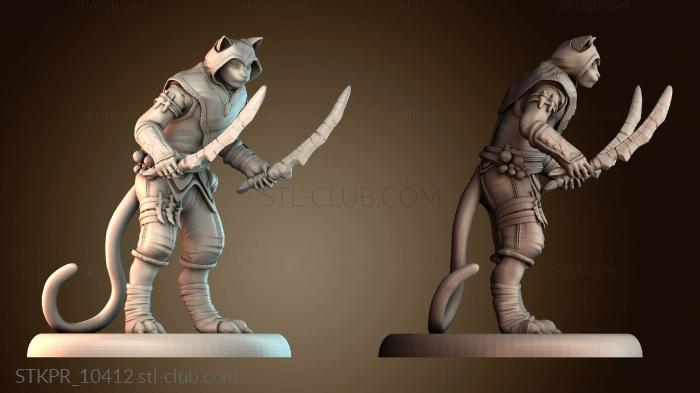 Кошачий бродяга