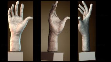 3D модель Правая рука Пьера и Жака де Виссанов в Музее Родена, Париж (STL)