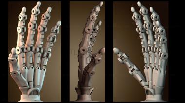 3D модель Бионическая скелетная рука (STL)