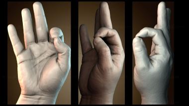 3D модель Правая рука (STL)