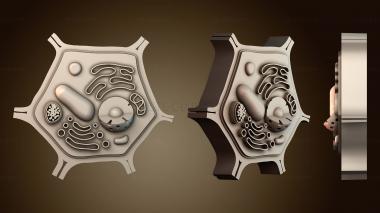 3D модель Обзор структуры клетки (STL)