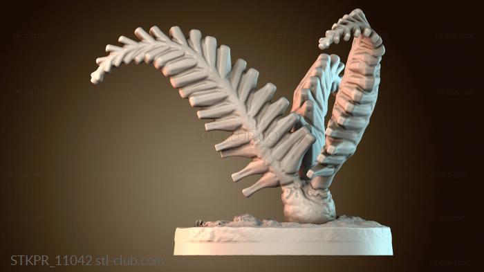 Образец окаменелого папоротника