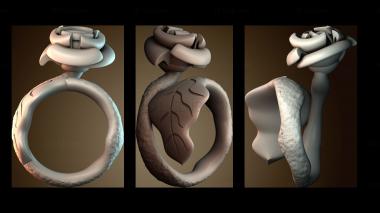 3D модель Дизайн цветочного кольца (STL)