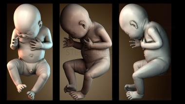 3D модель Карманный малыш (STL)