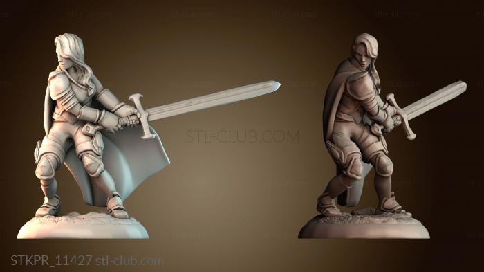 Женщина паладин