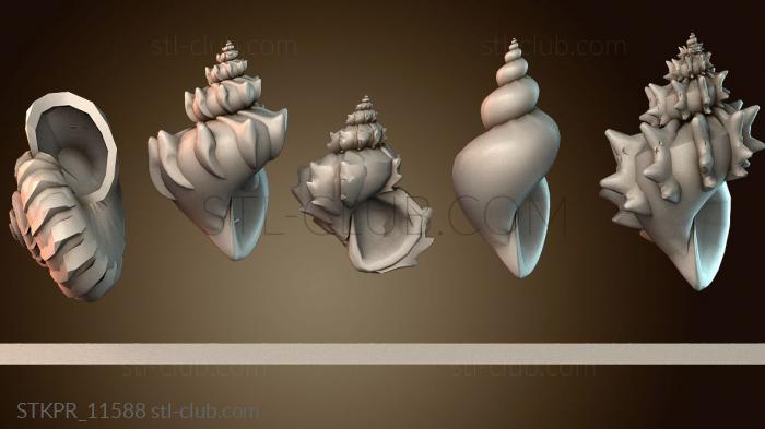 Статуэтки упрощенные Спиральные оболочки