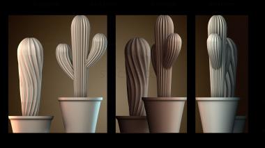 3D модель Кактусы в горшках (STL)