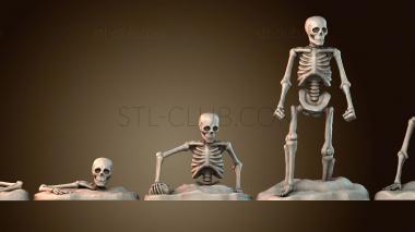 3D модель Скелет (STL)