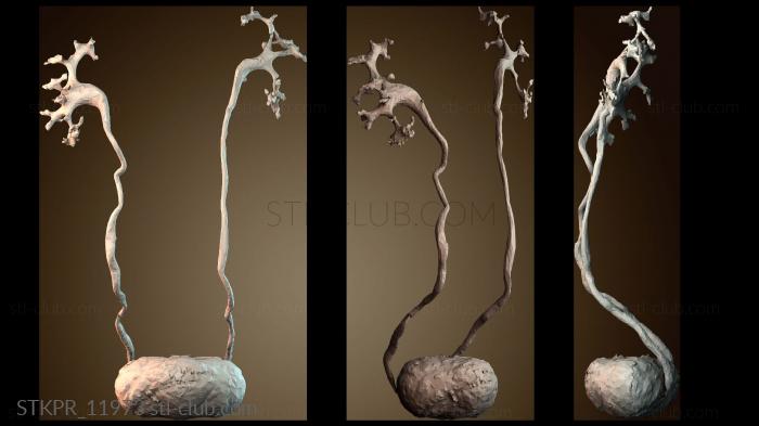 Статуэтки упрощенные Мочевыводящие пути