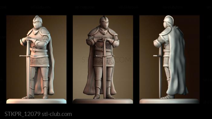 Паладин Рыцарь