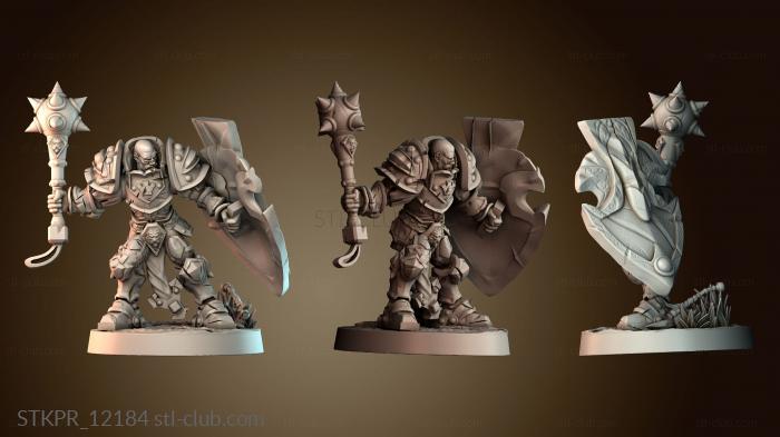 Тяжелый Паладин