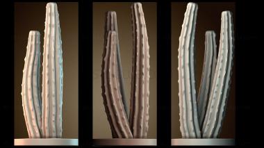 3D модель Кактус (STL)