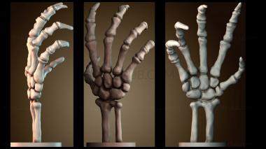 3D модель Скелетная рука (STL)