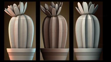 3D модель Springo Cactus Trichocereus (STL)