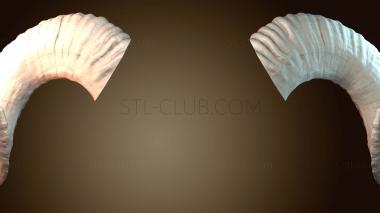 3D модель Рога суккуба (STL)