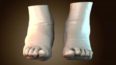 3D модель Поверхность кожи стопы H009070file (STL)