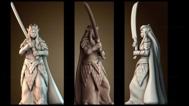 3D модель Эльфийская дама с мечом (STL)