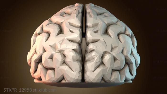 Статуэтки упрощенные Брелок в виде мозга