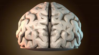 3D модель Брелок в виде мозга (STL)