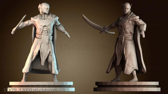 Мастер клинка, эльф, мужчина