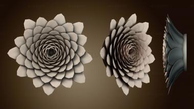 3D модель Камелия (STL)