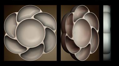 3D модель Палитра для красок (STL)