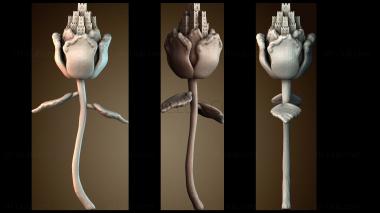 3D модель Castleflower (STL)