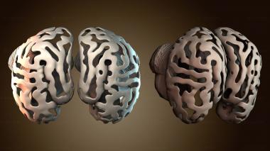 3D модель Мозговой плантатор (STL)