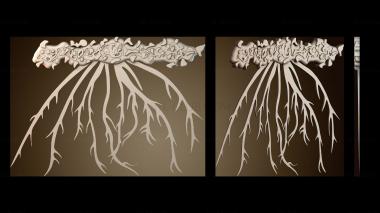 3D модель Мочковатые корни (STL)