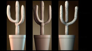 3D модель Держатель кольца кактуса (STL)