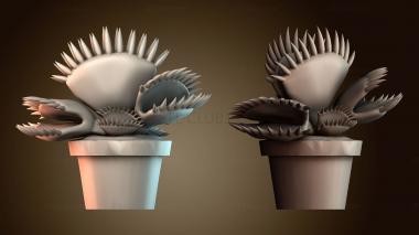 3D модель Горшечное плотоядное растение (STL)