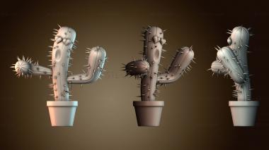 3D модель Кактус (STL)