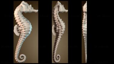 3D модель Морские коньки (STL)
