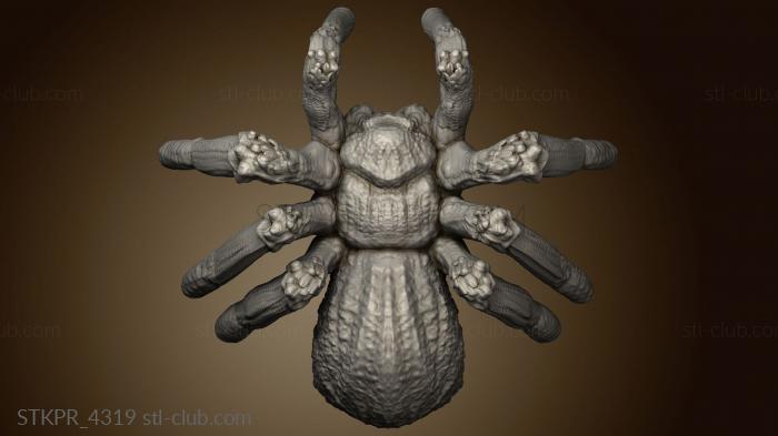 3D модель Фамильяры и Звери Spider Casual (STL)