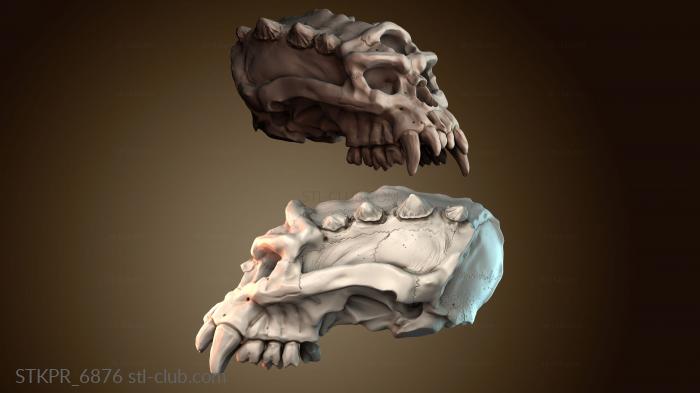 Статуэтки упрощенные Голова сплошной череп