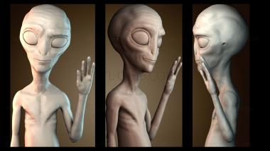 3D модель Пол Принт (STL)