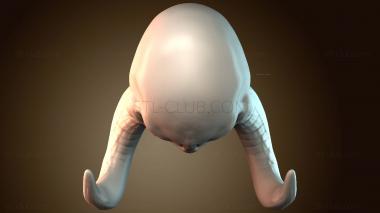 3D модель Темные стороны (STL)