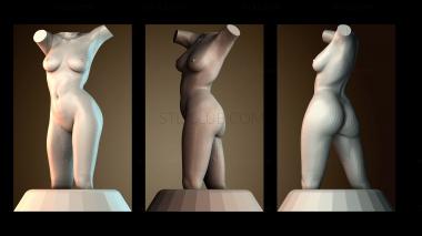 3D модель Абстрактная женская форма (STL)