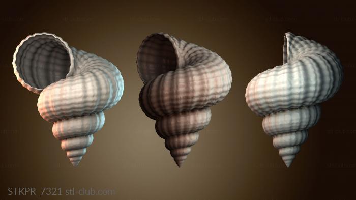 Статуэтки упрощенные Спиральная структура ракушки