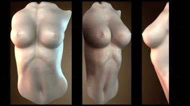 3D модель Художественная скульптура торса (STL)