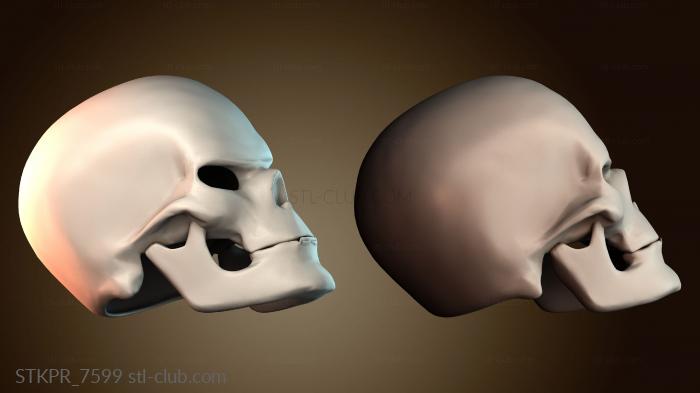 Статуэтки упрощенные 3D модель человеческого черепа
