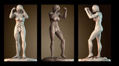 3D модель Мисс AoT X Fem Fuller (STL)