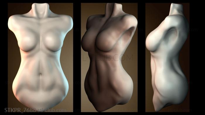 Статуэтки упрощенные Абстрактная скульптура торса