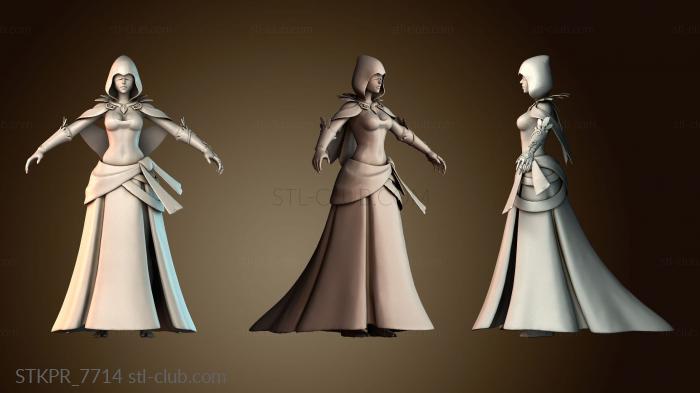 Статуэтки упрощенные Серия Мисс Паладины