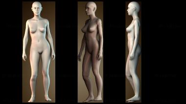 3D модель 3D модель человека (STL)