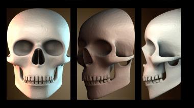 3D модель Модель черепа человека (STL)