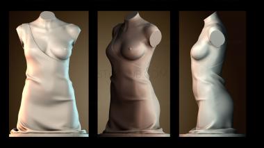 3D модель Манекен для дизайна одежды (STL)