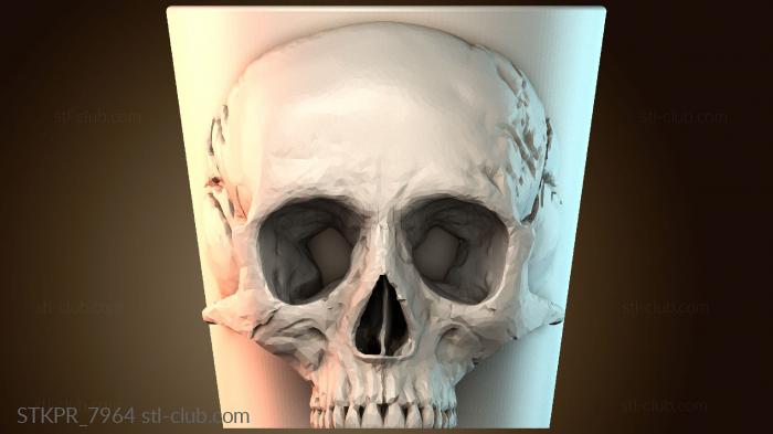 Статуэтки упрощенные Геометрический дизайн черепа