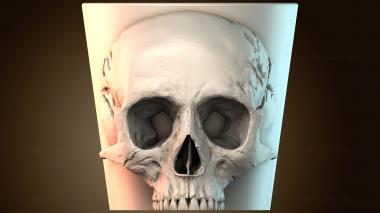 3D модель Геометрический дизайн черепа (STL)